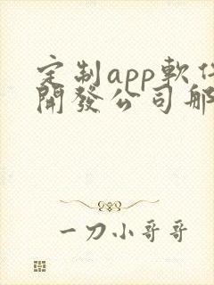 定制app软件开发公司那家好