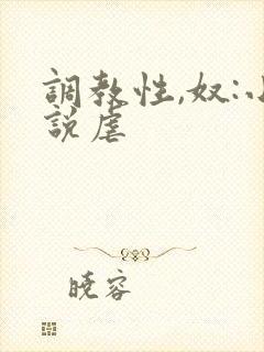 调教性,奴:小说虐
