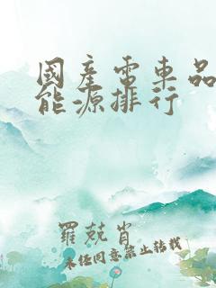 国产电车品牌新能源排行