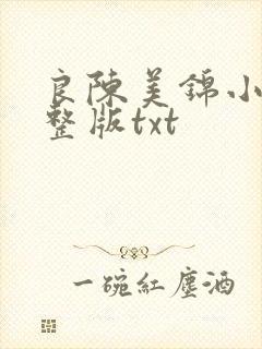 良陈美锦小说完整版txt
