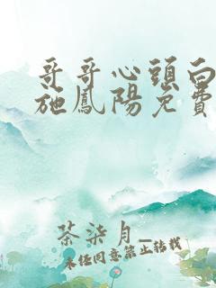 哥哥心头白月光施凤阳免费阅读全文