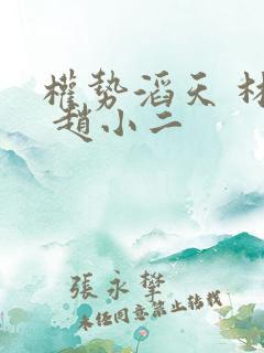 权势滔天 林峰 赵小二