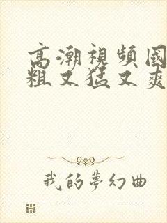 高潮视频国产又粗又猛又爽又黄的视频