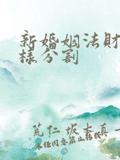 新婚姻法财产怎样分割