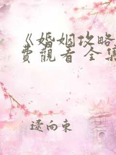 《婚姻攻略》免费观看 全集