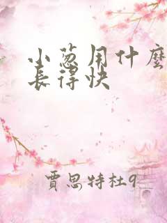 小葱用什么肥料长得快