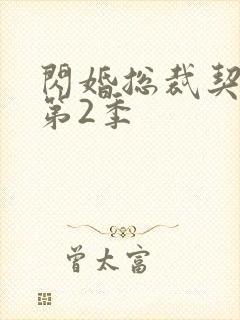 闪婚总裁契约妻第2季