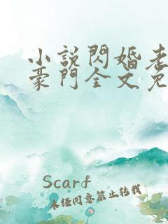 小说闪婚老公是豪门全文免费阅读