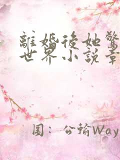 离婚后她惊艳了世界小说章节