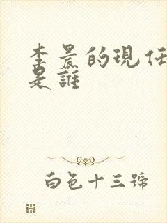 李晨的现任妻子是谁