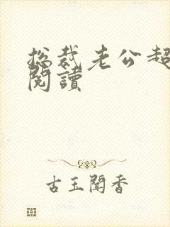 总裁老公超棒的阅读