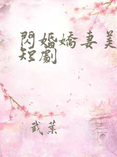 闪婚娇妻美又飒短剧