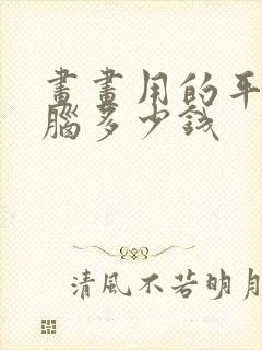 画画用的平板电脑多少钱