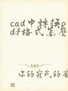 cad中转换pdf格式怎么弄黑白