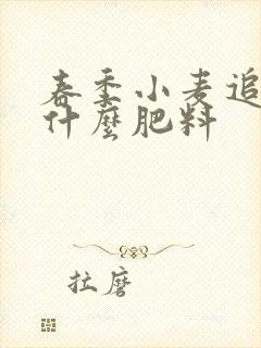 春季小麦追肥用什么肥料