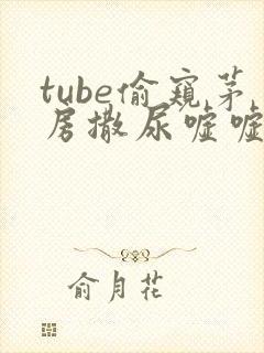 tube偷窥茅房撒尿嘘嘘