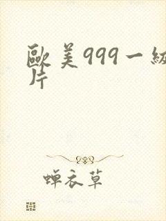欧美999一级片