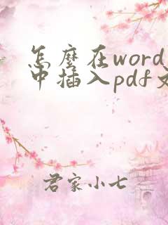 怎么在word中插入pdf文件