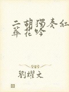 二胡独奏红楼梦葬花吟