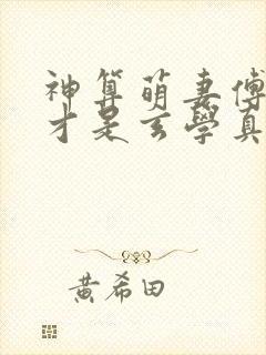 神算萌妻傅太太才是玄学真大佬锦朝朝傅霆渊