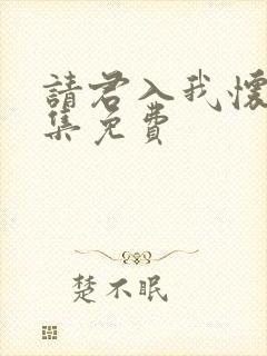 请君入我怀34集免费
