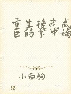 重生后我成了权臣的掌中娇完本