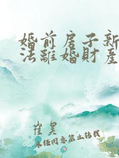婚前房子新婚姻法离婚财产分割