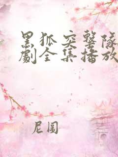 黑狐突击队电视剧全集播放