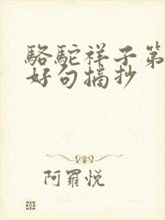 骆驼祥子第七章好句摘抄