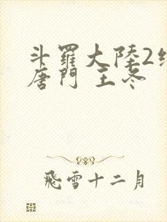 斗罗大陆2绝世唐门 王冬