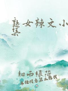 熟女辣文小说合集