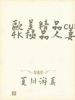 欧美精品cum4k极品人妻