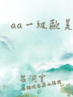 aa一级欧美片