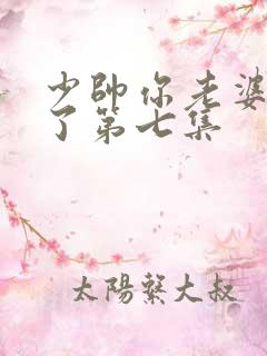 少帅你老婆又跑了第七集