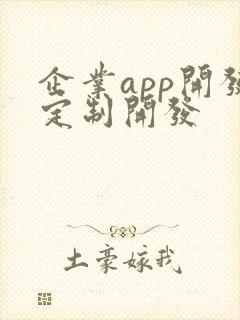 企业app开发定制开发