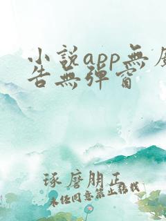小说app无广告无弹窗