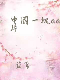 中国一级aa大片