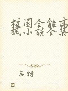 校园全能高手季枫小说全集阅读