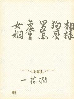 女兔男狗相配婚姻会怎么样