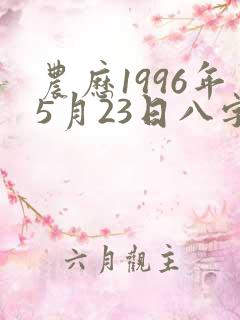 农历1996年5月23日八字算命
