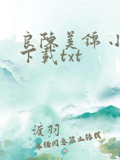 良陈美锦 小说下载txt