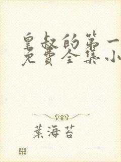 皇叔的第一宠妃免费全集小说