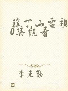 薛丁山电视剧40集观看