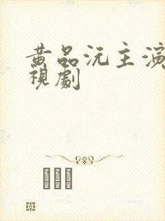 黄品沅主演的电视剧