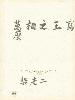 万相之王写的什么