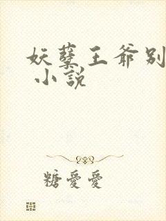 妖孽王爷别乱来 小说