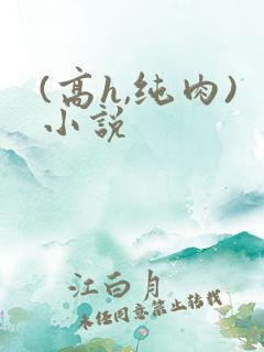 (高h,纯肉)小说