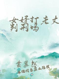 女婿打老丈人要判刑吗