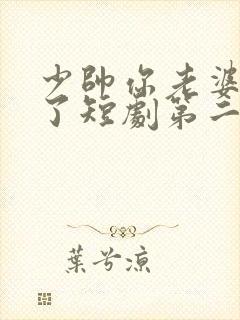 少帅你老婆又跑了短剧第二季