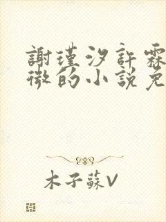 谢瑾汐许霖简柠微的小说免费阅读